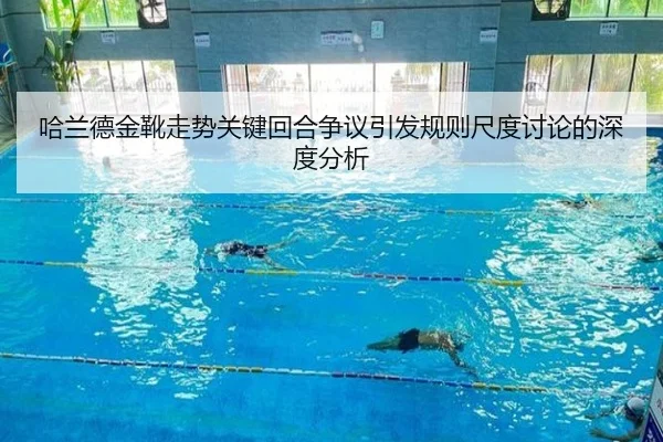 ha-lan-de-jin-xue-zou-shi-guan-jian-hui-he-zheng-yi-yin-fa-gui-ze-chi-du-tao-lun-de-shen-du-fen-xi-2-221.jpg
